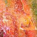 Breaking Free Digital Version